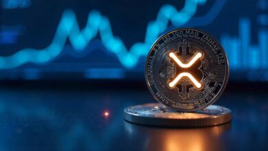 XRP Liquidity Hub